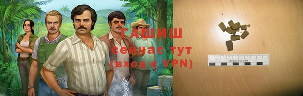 индика Горно-Алтайск