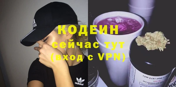 индика Горно-Алтайск