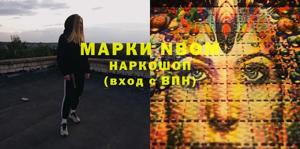 индика Горно-Алтайск
