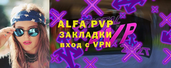 индика Горно-Алтайск