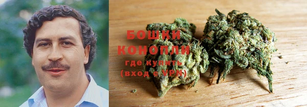 mdpv Горнозаводск