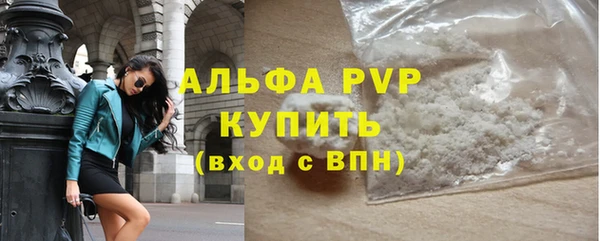 индика Горно-Алтайск